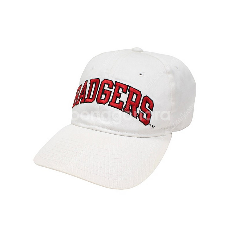 Champion Wisconsin Badgers Foo...--2