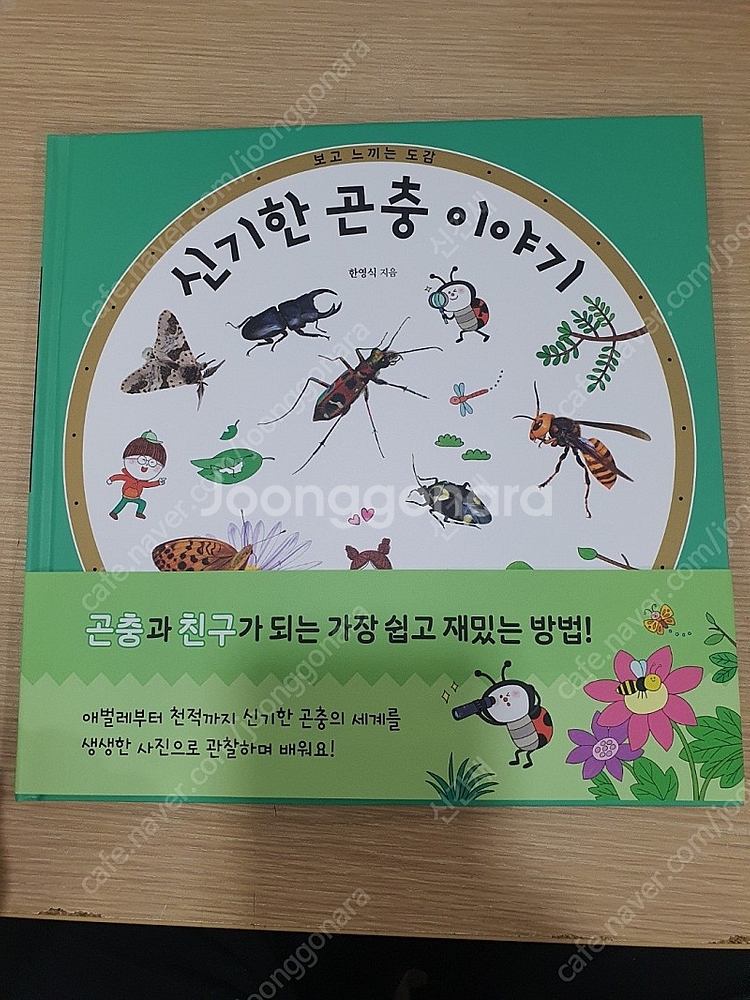 신기한 곤충 이야기 ( 신간 새책 )--0
