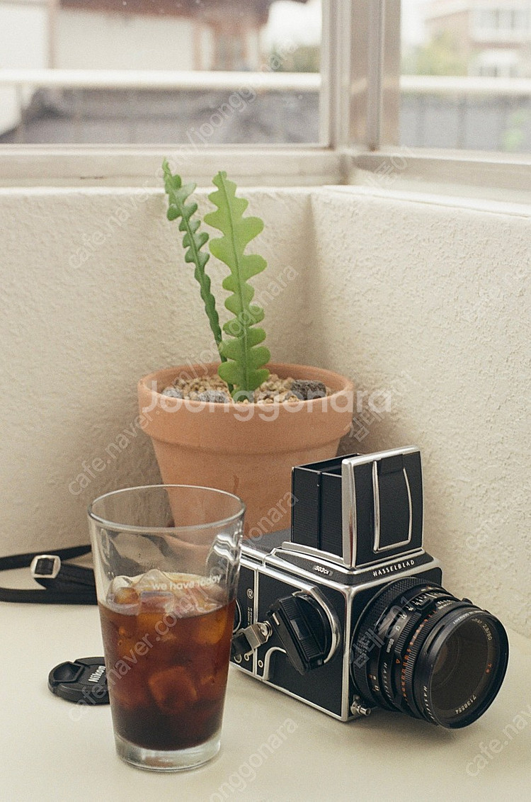 니콘 f100 , 1.8g렌즈--6