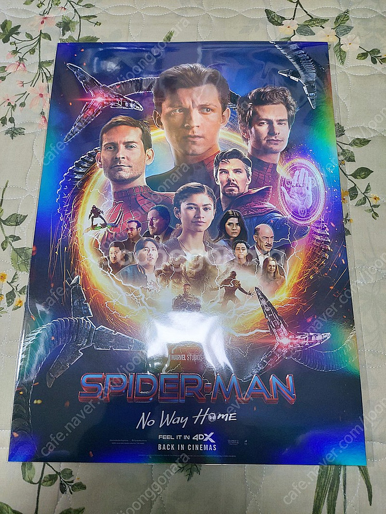 스파이더맨 노웨이홈 에반게리온 인터스텔라 아이맥스 4dx 포스터--0