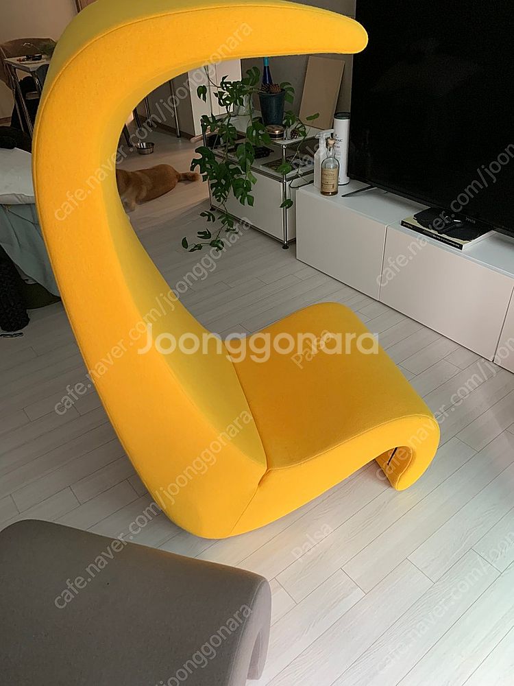 비트라 vitra 아메바체어 (vitra. Amoeba--2