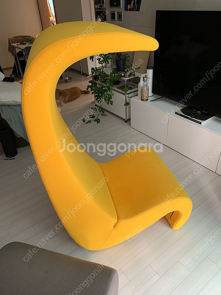 비트라 vitra 아메바체어 (vitra. Amoeba--3