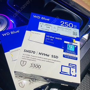 WD Blue ssd 250gb m.2 2개 판매해요