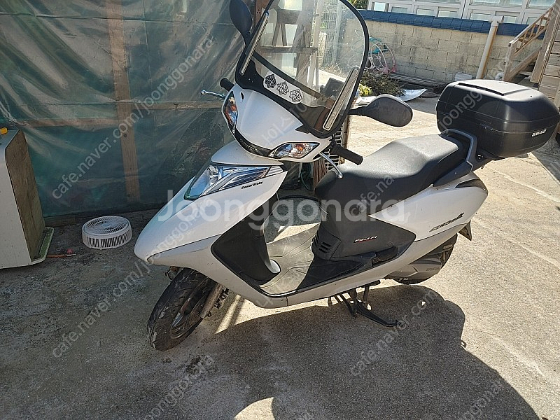 혼다 scr110알파 16년식 판매--0