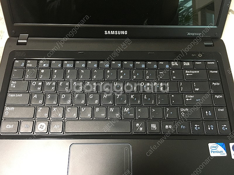 센스 R420--1