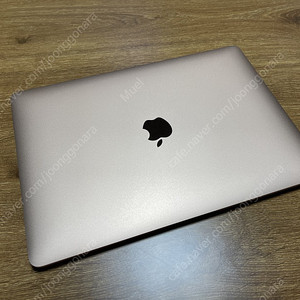 13인치 M1 맥북에어 로즈골드 CTO (16G / 1테라 SSD), 애플케어플러스