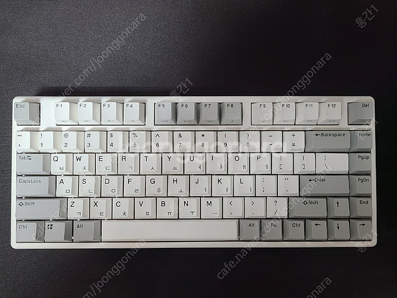 한성 GK888B 화이트--0
