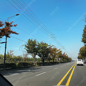 에버랜드 호러메이즈 10월29일 2장 구매합니다