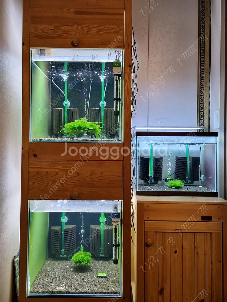 축양장 세트 & 어항용품 일괄 or 개별 판매 <가격내림>--1