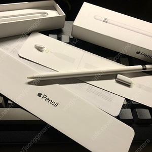 Apple pencil 애플펜슬1세대 팝니다