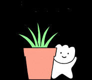 몬스테라 알보 무천이--1