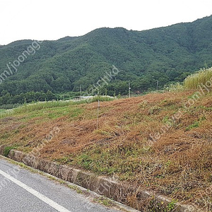 경남 함양군 소재 "전원주택지,주말농장" 매매합니다.