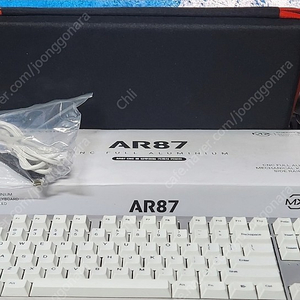 AR87 실버 갈축팝니다