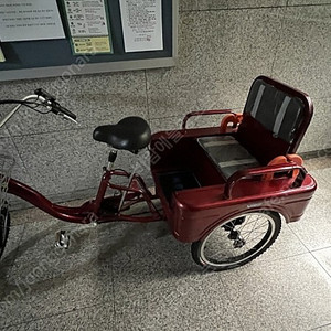 스카이로드 전기자전거 삼륜타입 짐칸 나들이 소풍자전거 뒷좌석