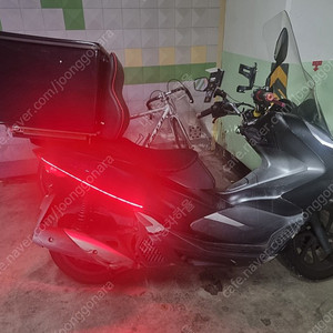 20년 pcx