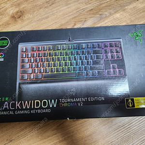 기계식 키보드 RAZER BackWidow TE Chroma V2 레이져 블랙위도우 크로마 팜