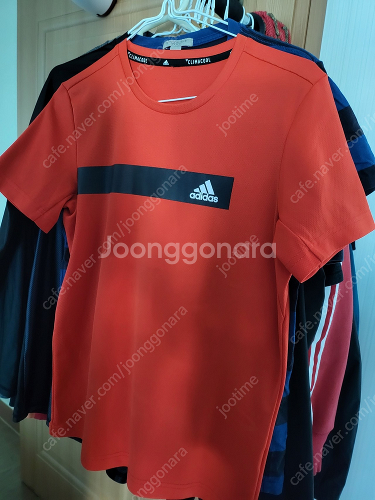 [사이즈 90~100] 개인 의류 판매 ft. 노스페이스 pk셔츠, 빈폴, 라코스테, 버버리, 프라다, 콜롬비아 자...--4