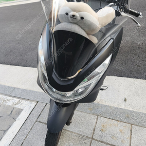 2018년 pcx125 180에 팝니다.