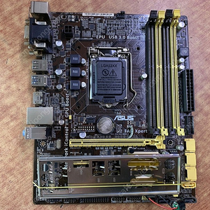 ASUS B85M-G