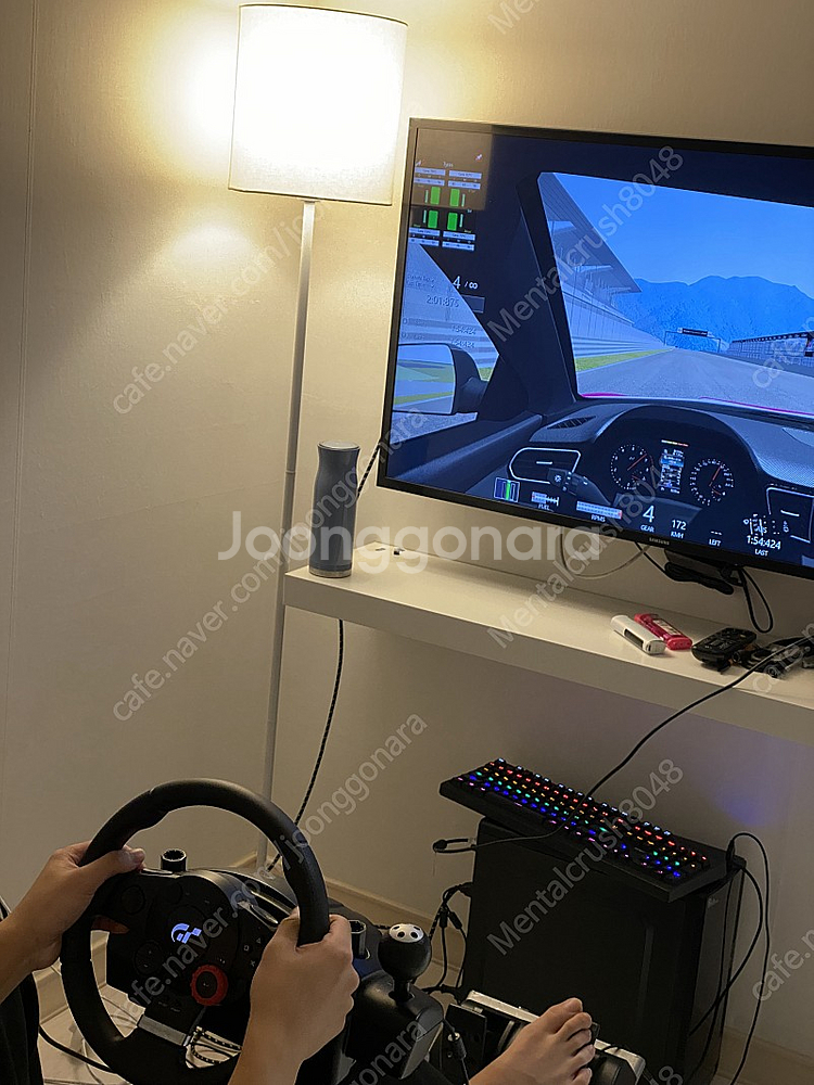 플레이시트 에볼루션 + 로지텍 드라이빙포스 GT--4