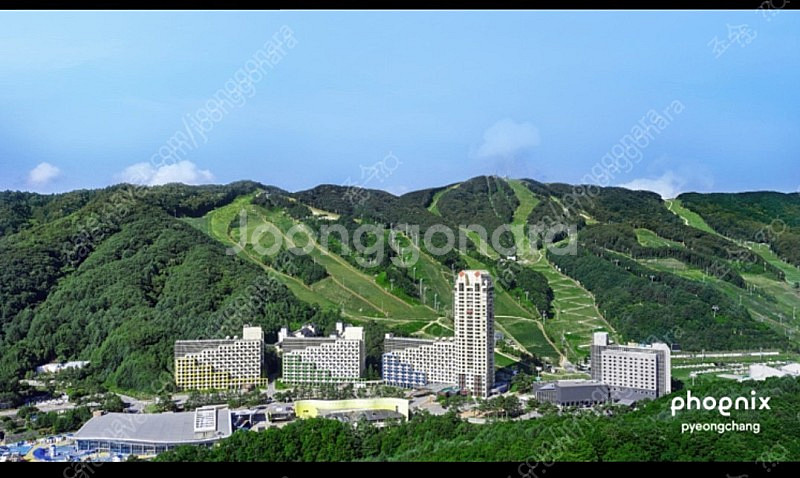 휘닉스 평창 콘도 스탠다드 10월 23일 일요일 2만원...--0
