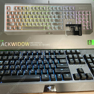 RAZER Blackwidow KR 택타일(청축) 키보드