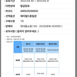 하이원 워터월드 종일권 이용권 1매