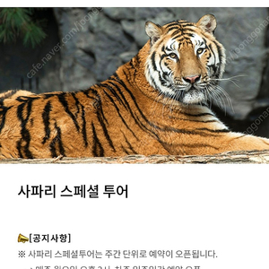 에버랜드 사파리 스페셜투어 10/24 구합니다350000원