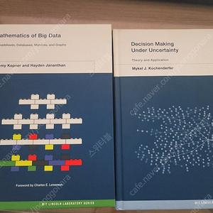 Mathematics of Big Data, Decision making under uncertainty 두권