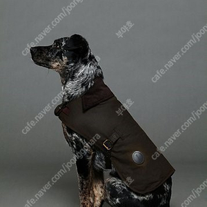 Barbour Dog 바버 도그 강아지 왁스 도그 코트. 새상품 New size S