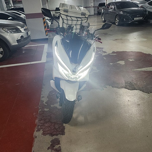 Pcx125 2019