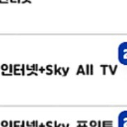 skylife 인터넷 + sky all tv 236채널