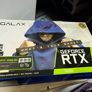 갤럭시 rtx 3080 sg