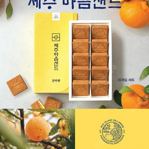 제주 마음샌드 판매(중나.인터넷최저가판매)