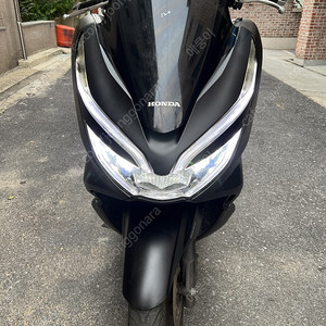 2019년식 더뉴PCX125 팝니다!!