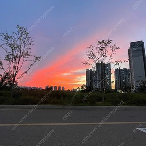 아이폰 8 보드고장팝니다