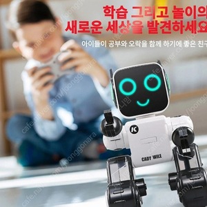 AI 코딩로봇 캐디윌(새상품)