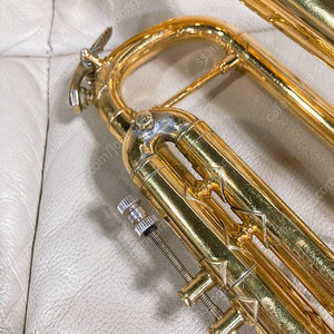 바하 트럼펫 180 LR 37g 골드 팝니다