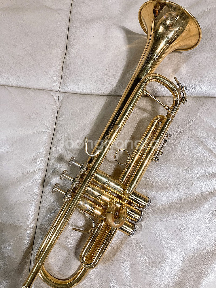 바하 트럼펫 180 LR 37g 골드 팝니다--1