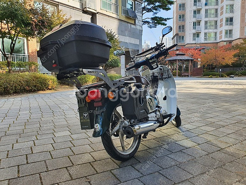 (서울 송파) 가격내림 / 슈퍼커브 110cc (18년식/그린/풀옵) 170만--3