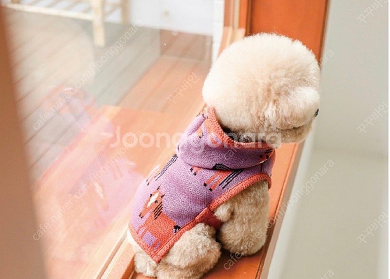 ssfw 포니판초 L--1
