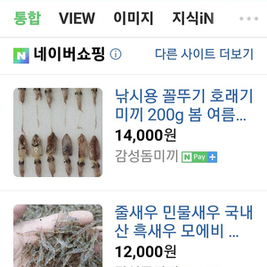 꼴뚜기호래기 낚시미끼