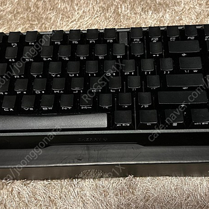 체리 MX board 3.0s tkl 적축 1달사용