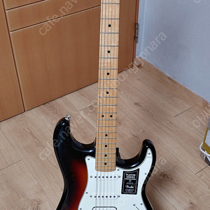 펜더 플레이어 HSS 팝니다. 거의 새제품 ( Fender Mexico Player Stratocaster HSS maple )
