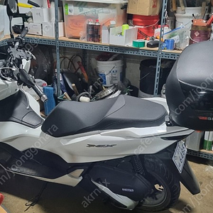 pcx125 ( 21식 ) 화이트 900 km