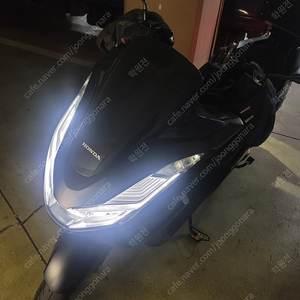 pcx125 abs 상태관리 최상 판매합니다.