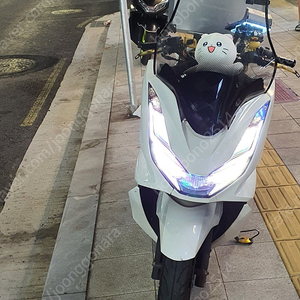 pcx125 21년식 판매 (개인)