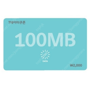 T데이터쿠폰 100mb