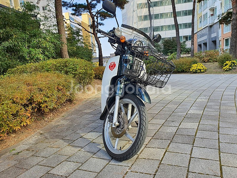 (서울 송파) 가격내림 155만 / 슈퍼커브 110cc (18년식/그린)--4
