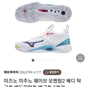 미즈노 인도어화 웨이브모멘텀2 270 테니스,배드민턴,스쿼시화용